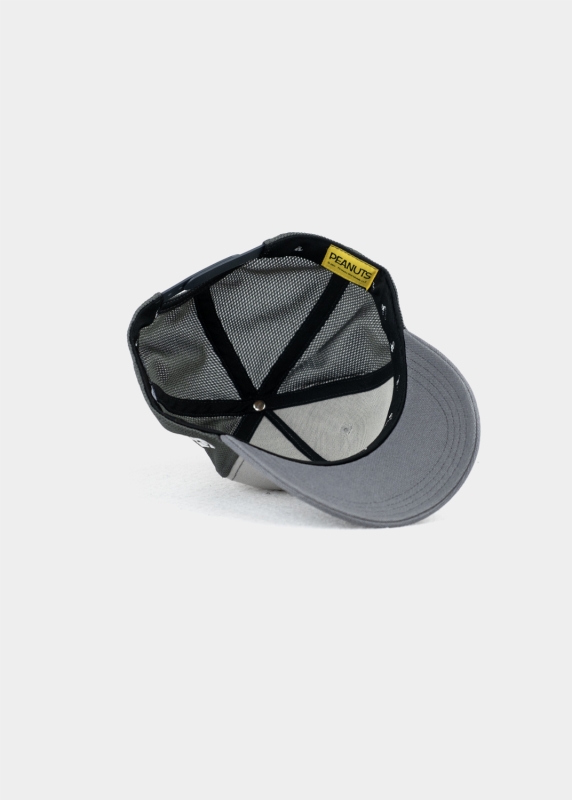 Cap "Peanuts Transformer" - grau (Curved)